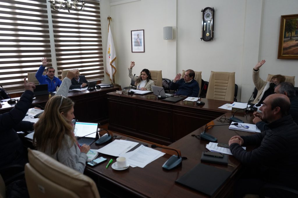 Nueva ordenanza municipal de Curicó sancionará a dueños de animales mayores sueltos en la vía pública 1 DSC01172