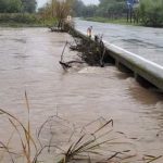 image 750x 649c639f3961e