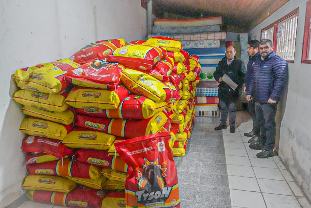 Municipio curicano se encargará de distribución de ayuda en alimentos para perros, centrado en el sector de Tutuquén 1 IMG 0469