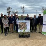 WhatsApp Image 2023 07 04 at 13.43.37