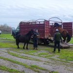 WhatsApp Image 2023 07 05 at 14.37.45