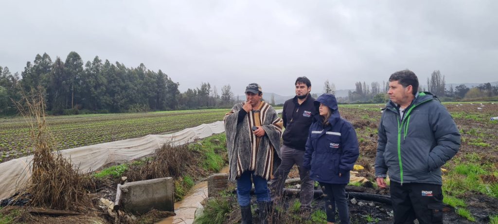 Seremi de Agricultura llama a los agricultores a inscribirse en el catastro de daños productivos 1 WhatsApp Image 2023 07 13 at 18.48.47