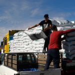 WhatsApp Image 2023 07 17 at 13.11.39