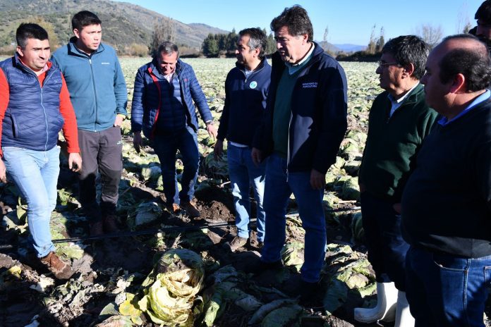 Sagrada Familia: Ministro del Agro describió acciones y soluciones para productores afectados por temporal 1 ministro 2 696x464 1