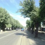 hfd23d5bc0e5c4a1adfc0