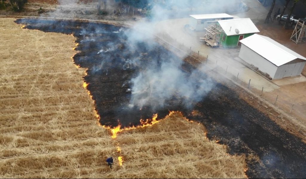 Fiscalía formalizó a imputado por encender fuego en su predio agrícola en la comuna de Teno 1 F1 Viejo tonto e1708046604694