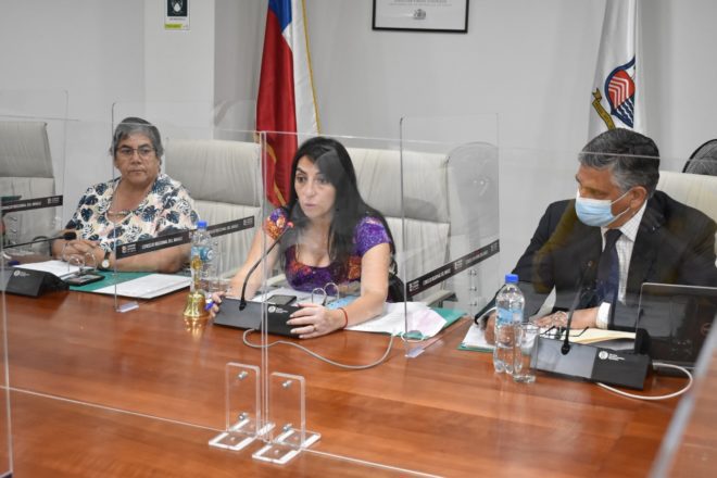 Gobierno Regional del Maule conforma Comité Regional de Ciencia, Tecnología e Innovación 1 FOTO 02 660x440 1