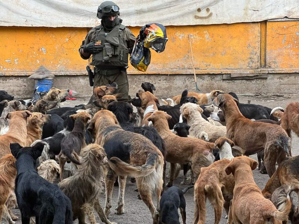 Realizan desalojo en Vista Hermosa por maltrato animal 1 WhatsApp Image 2024 02 21 at 10.31.03
