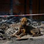 WhatsApp Image 2024 02 21 at 11.40.06