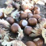 WhatsApp Image 2024 02 29 at 10.34.37