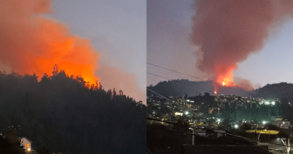 incendio constitucion intencional