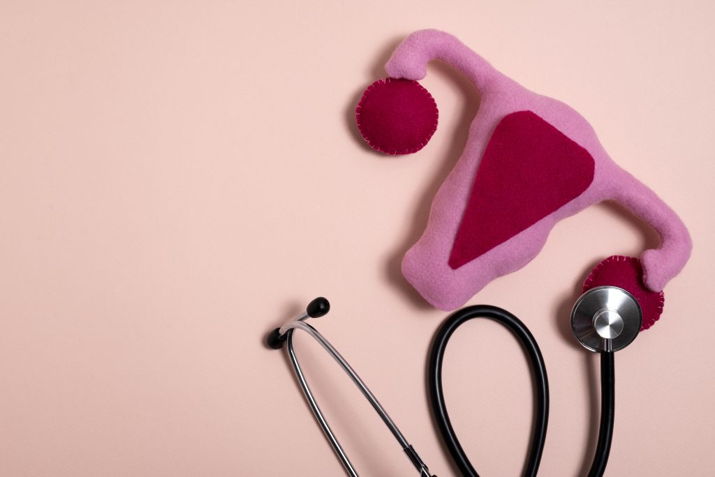 Salud Municipal y su constante trabajo en terreno para prevenir el Cáncer Cervicouterino 1 CC