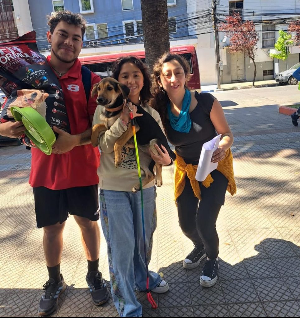 Exitosa jornada de adopción de perros del ex refugio Almas en el Camino se realizó en la Plaza de Armas 1 jornada adopcion 1