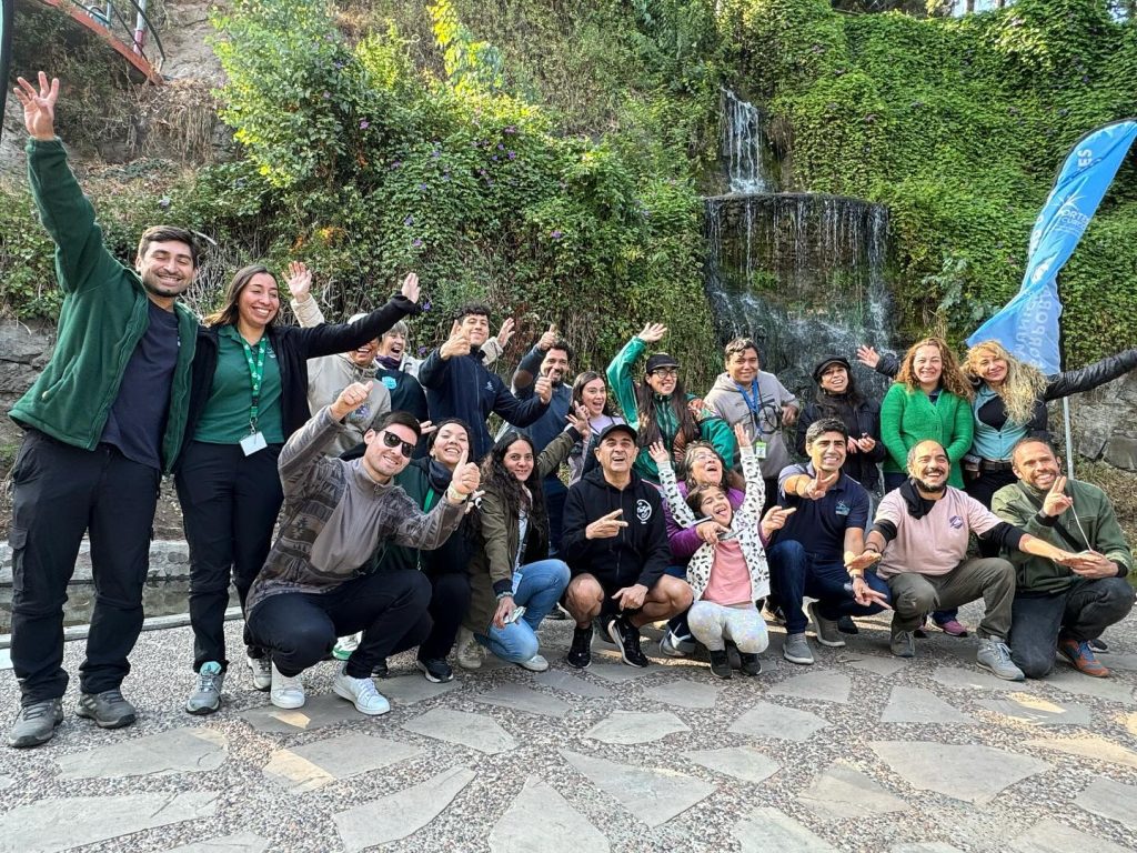 El municipio de Curicó y la Corporación de Deportes impulsan la sostenibilidad y el emprendimiento con la Segunda Versión de la Feria de Reciclaje Creativo "RECICREA" 1 432942469 18223835377278281 3085936374110262336 n