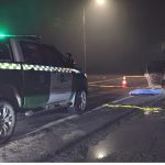 443841400 953031380161920 6231149762742703324 n