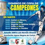 COPA CAMPEONES