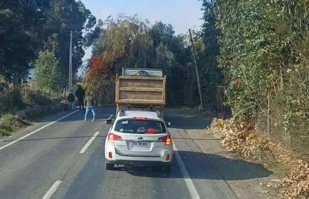 Caida de arbol de grandes dimensiones interrumpe el transito en Ruta J 60 1068x689 1
