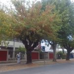 WhatsApp Image 2024 04 16 at 11.34.09