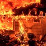 448379251 122173776296063871 2166307767340553665 n