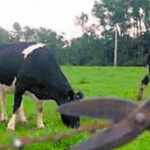 IMAGEN DESTACADA MEDIAINFO 2