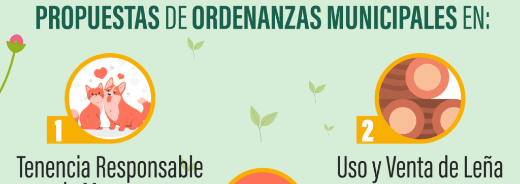 La Municipalidad de Teno abre a su comunidad la participación en tres ordenanzas municipales 1 Teno