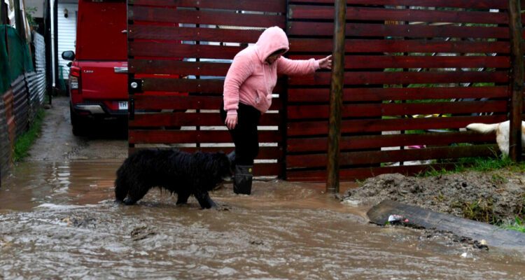 Directora Senapred por lluvias: "Este viernes caerán últimas precipitaciones y aplicaremos ficha FIBE" 1 directora senapred por lluvias este viernes caeran ultimas precipitaciones y aplicaremos ficha fibe 750x400 1
