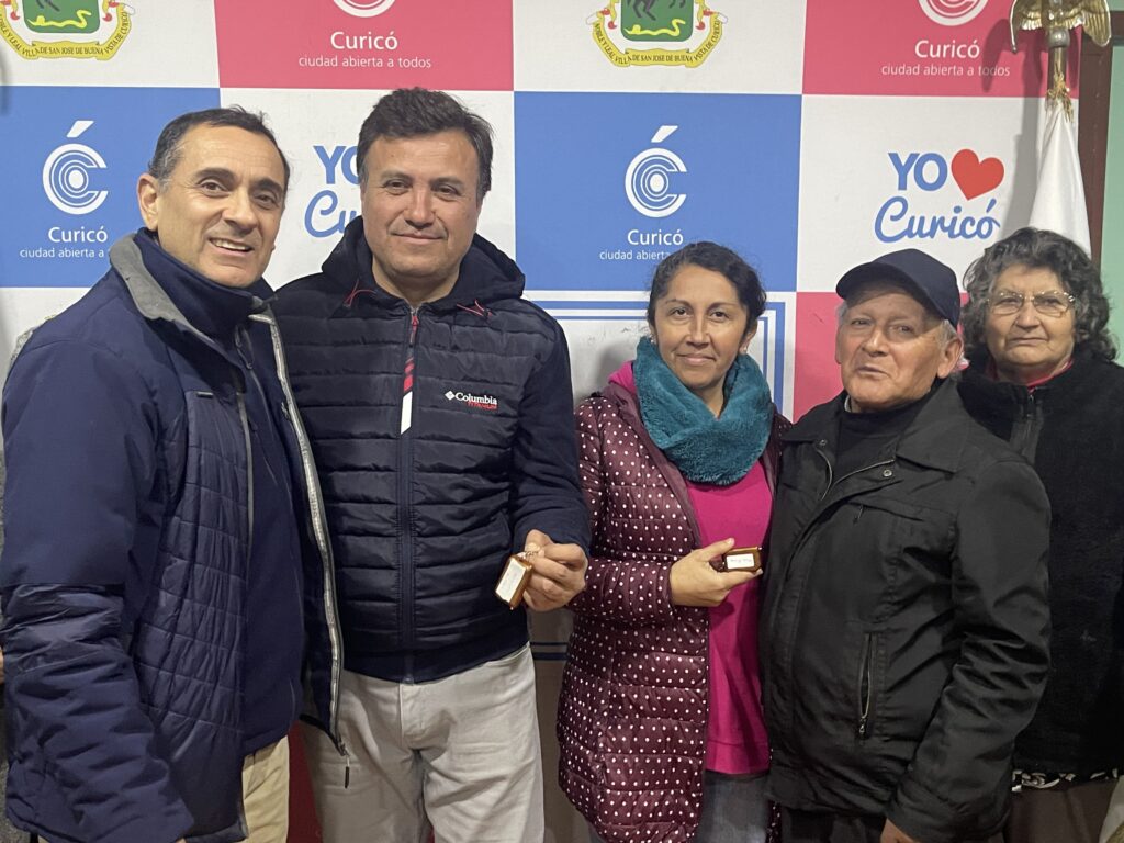 Alarmas comunitarias Curico 1
