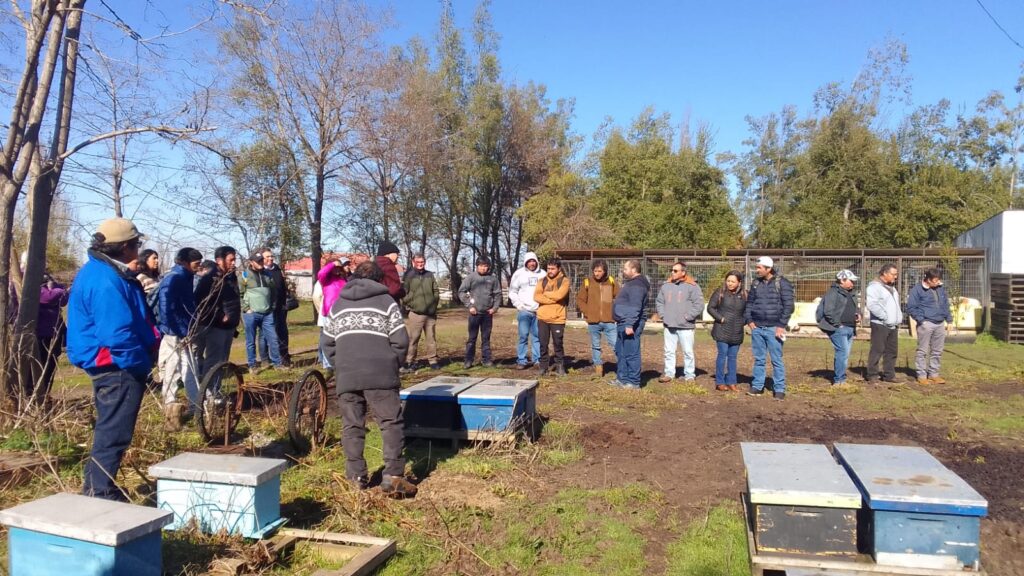 Apicultores de Curicó se capacitan para mejorar la producción y la salud de sus colmenas 1 Apicultores Curico