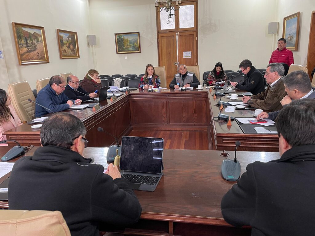 Comercio lenero Curico