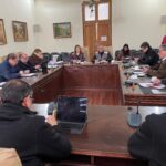 Comercio lenero Curico