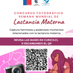 Concurso Fotografico