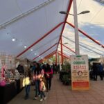 Emprendimiento Curico