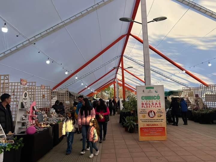 La Feria Cazuelas y Caldillos de Curicó ofreció una oportunidad de emprendimiento 1 Emprendimiento Curico