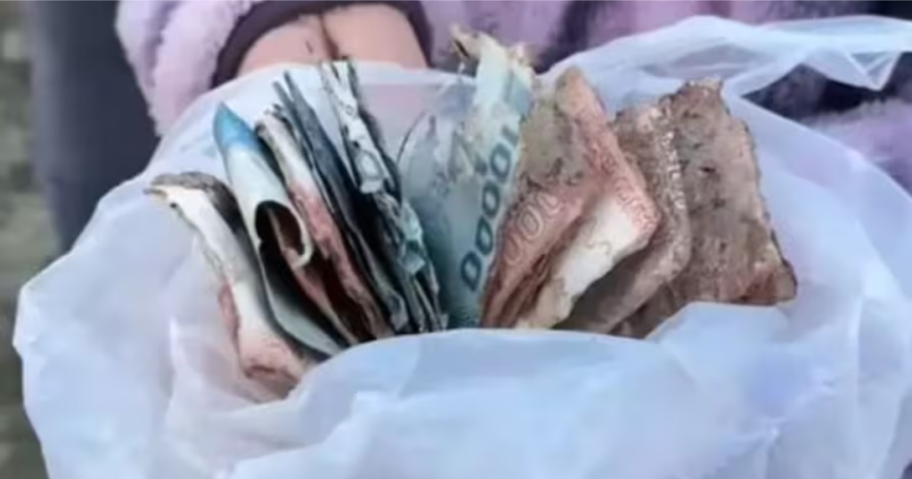 Pareja de Curicó enterró tres millones en el patio y ahora espera recuperarlos 1 IMAGEN DESTACADA MEDIAINFO 10 1