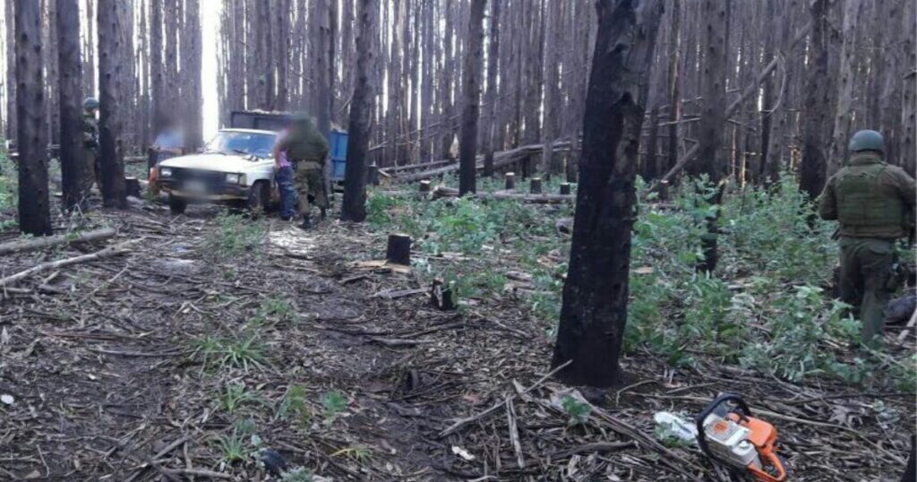 IMAGEN DESTACADA MEDIAINFO 9