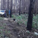 IMAGEN DESTACADA MEDIAINFO 9