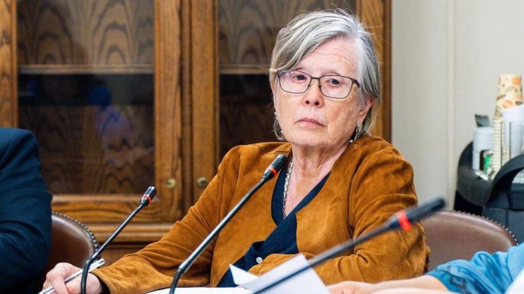 Mercedes Bulnes