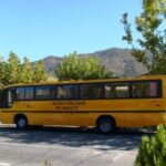 bus escolar 001