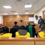 456477384 1022523233212734 6599826686946070794 n