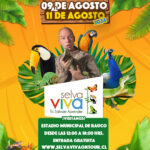 Afiche Dia del Nino Rauco