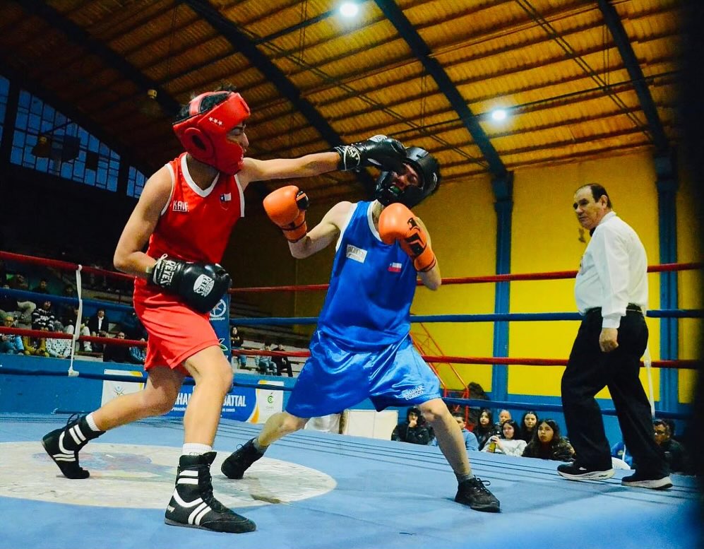 BOX SABADO