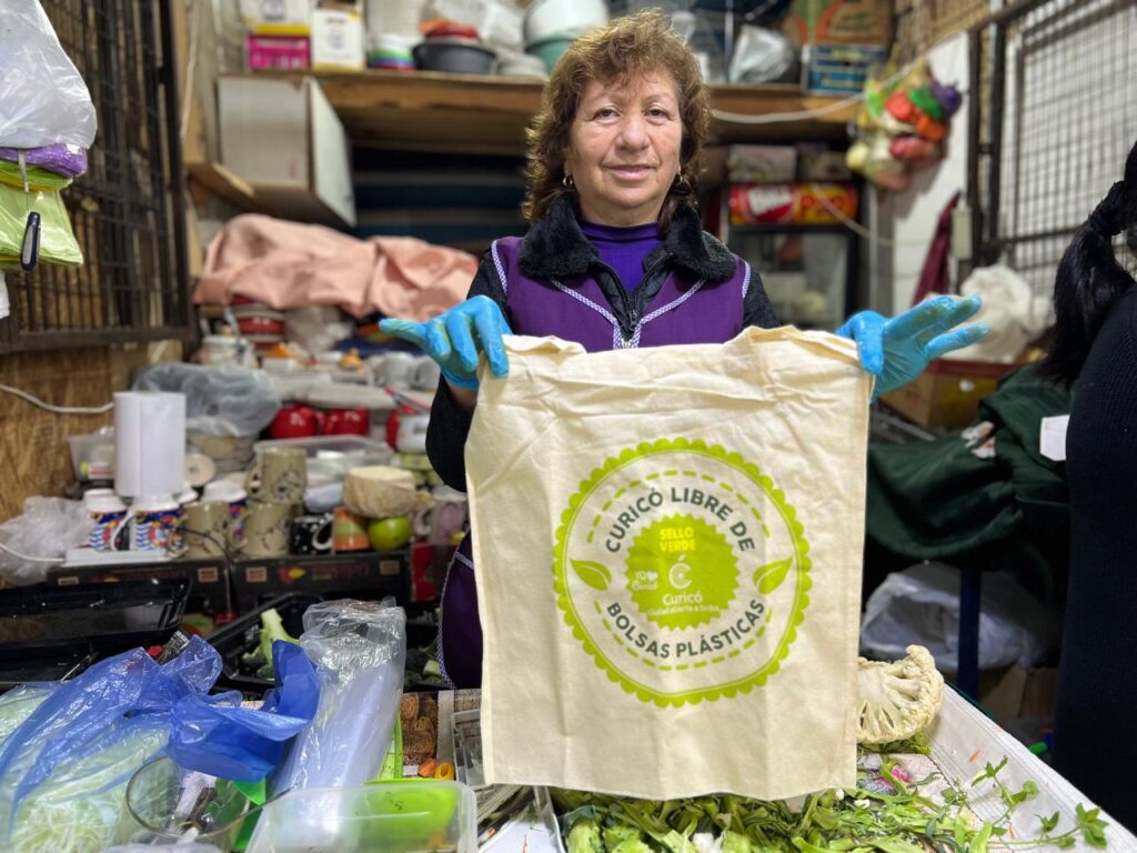 Municipalidad de Curicó y Felicur realizaron campaña educativa para recordar que las bolsas plásticas están prohibidas en el comercio 1 PHOTO 2024 08 13 12 15 21