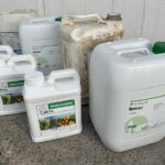 WhatsApp Image 2024 08 27 at 16.27.45