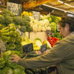 canasta basica alimentos