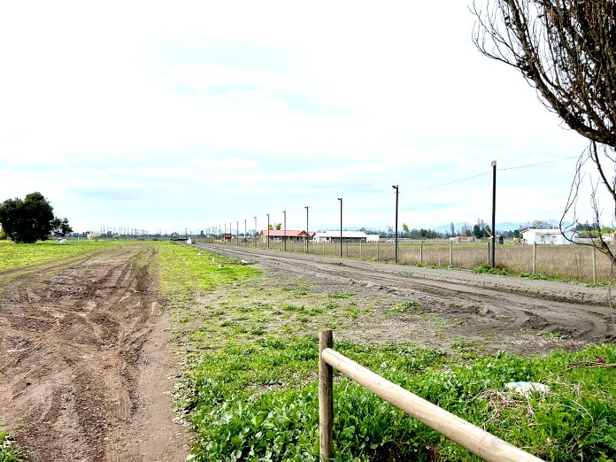 Agrupaciones animalistas valoran cierre de canódromo en la localidad de Lontué 1 F1.1 2 696x522 1