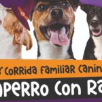 Copia de IMAGEN DESTACADA MEDIAINFO 40 1