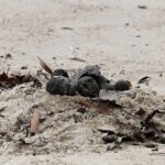 Copia de IMAGEN DESTACADA MEDIAINFO 60