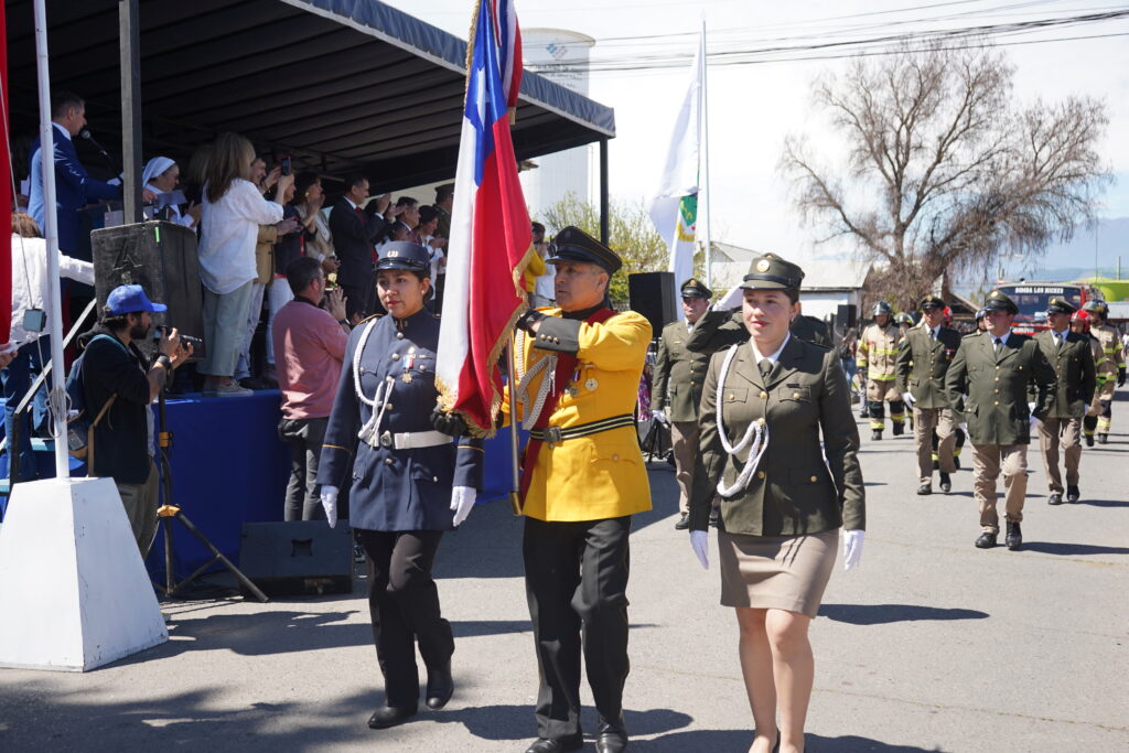 Foto 2 Desfile Los Niches