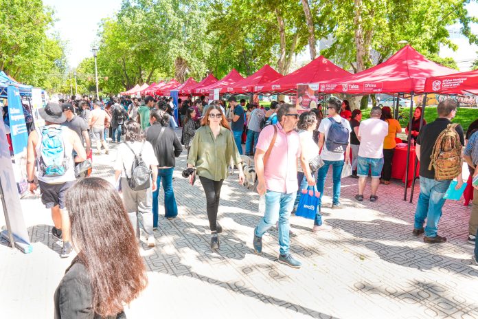 Municipalidad de Talca desarrolló feria laboral con más de 2.300 puestos de trabajo disponibles del sector público y privado 1 IMG 20241029 WA00311 696x464 1
