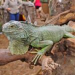 WhatsApp Image 2024 10 08 at 17.50.24